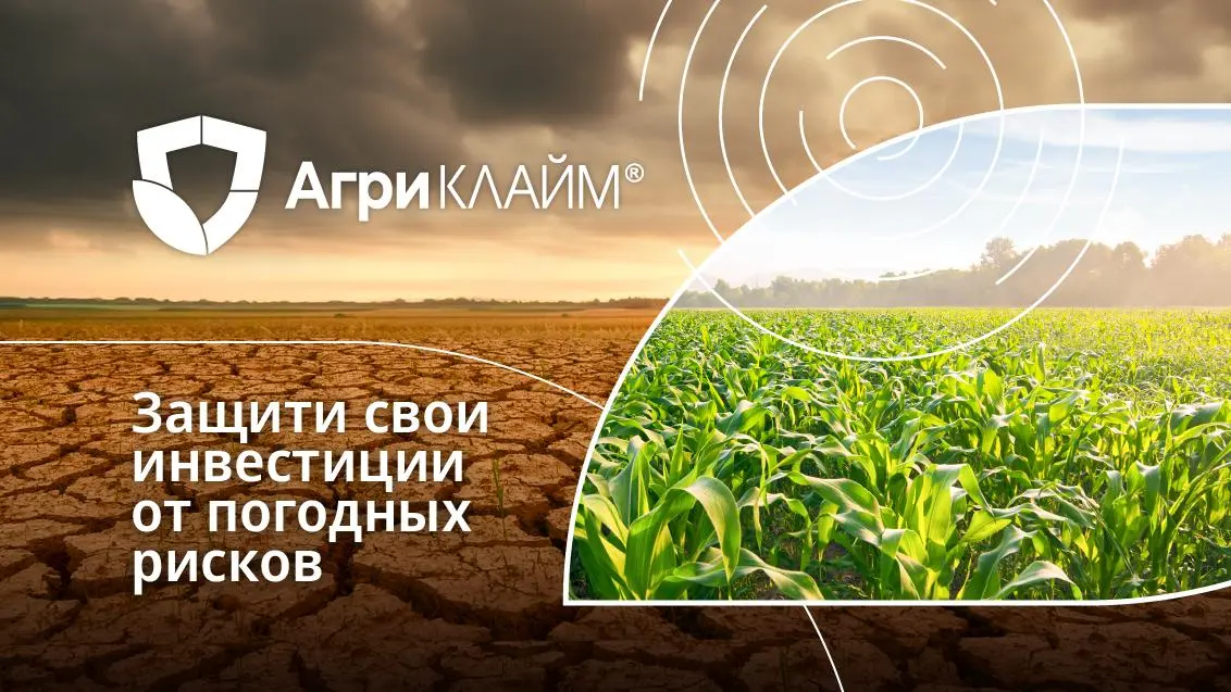 Инвестиции в семена кукурузы — под защитой Агриклайм®