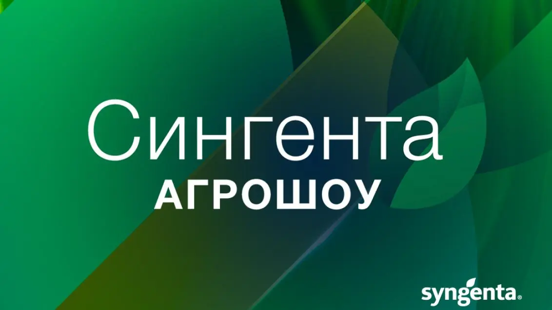 Новая эра гибридов