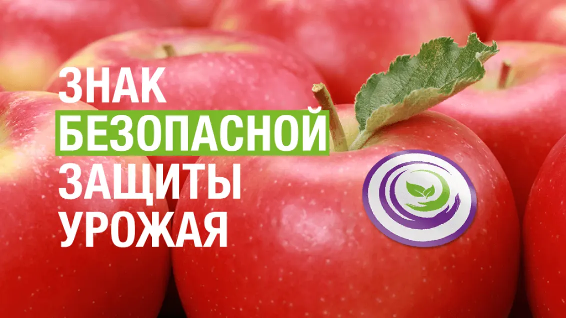 Готовность №1. Защита сада от болезней