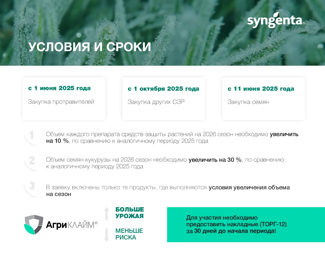 Условия и сроки