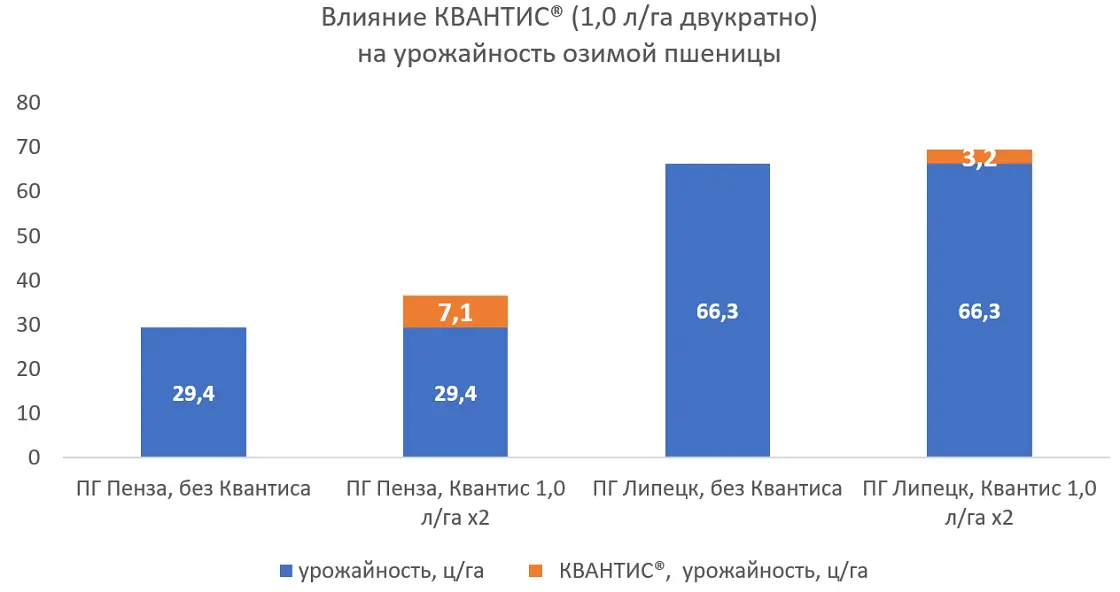 Влияние КВАНТИС® (1,0 л/га двукратно) на урожайность озимой пшеницы