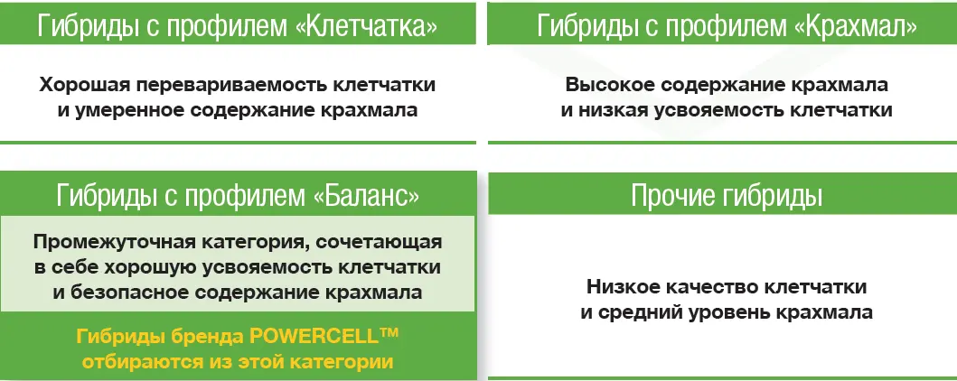 Powercell™ – гибриды кукурузы со сбалансированным профилем