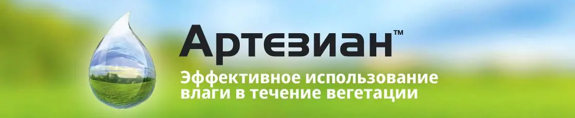 Гибриды АРТЕЗИАН