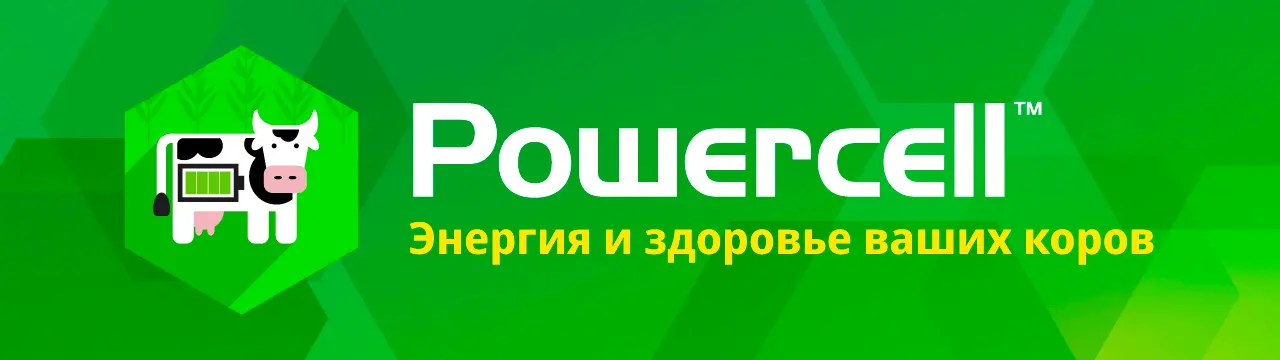 POWERCELL™ – гибриды кукурузы на силос для идеально сбалансированного рациона