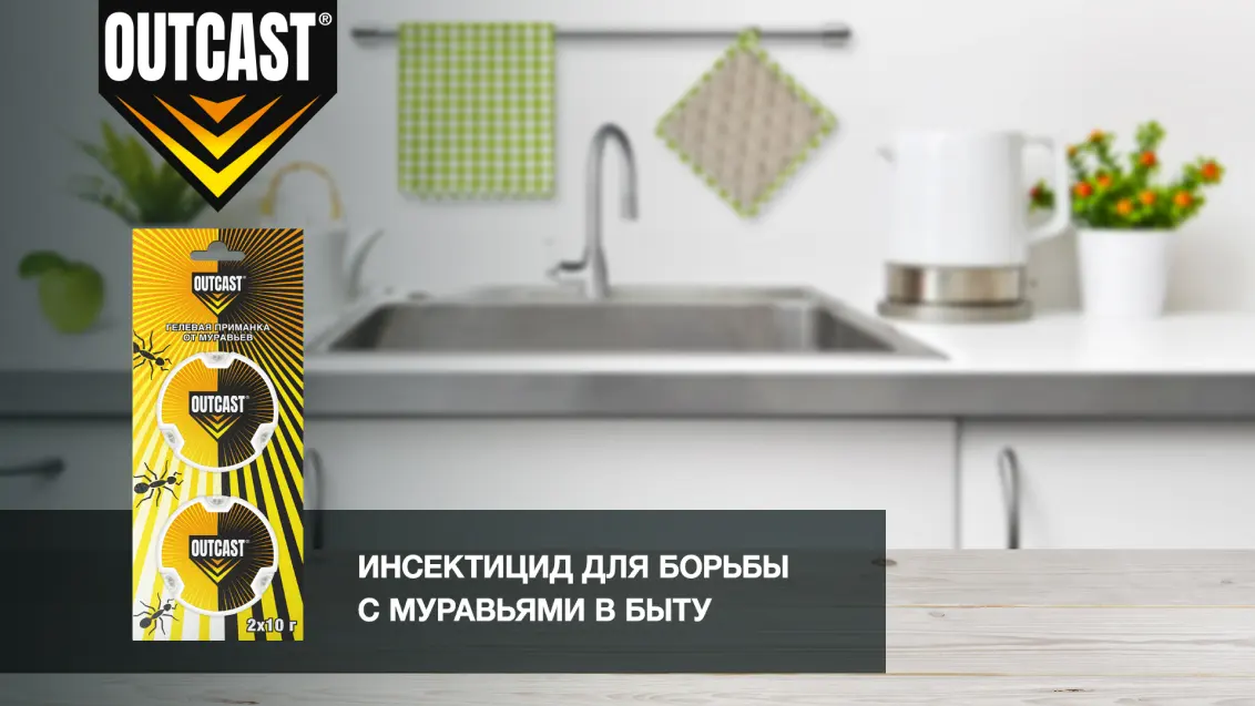 Гелевая приманка от муравьев