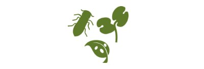 Изображение отсутствует