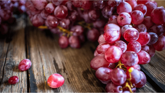 ТИОВИТ Джет, ВДГ / Фунгицид и акарицид для защиты винограда, плодовых иовощных культур от настоящей мучнистой росы.