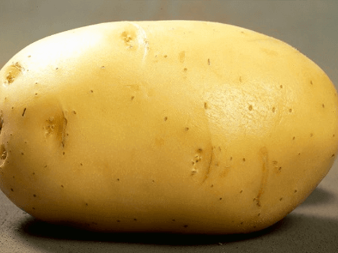 Защитите семенной картофель после уборки