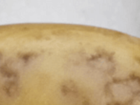 Y-вирус картофеля (PVY)