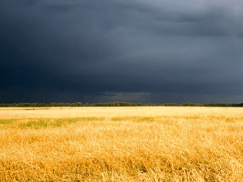 Прогноз предвещает жару и ураганы. Как спасать урожай?