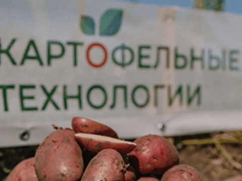 «Картофельные технологии» — снова в поле!
