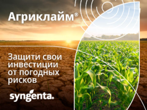 Инвестиции в семена кукурузы — под защитой Агриклайм®
