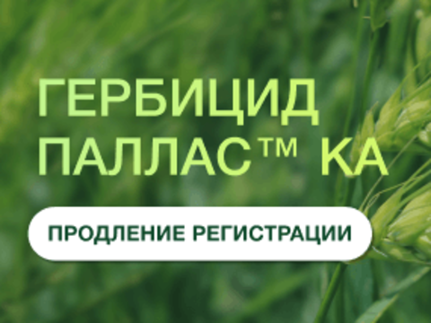 ПАЛЛАС® КА. У уникального гербицида продлена регистрация в России