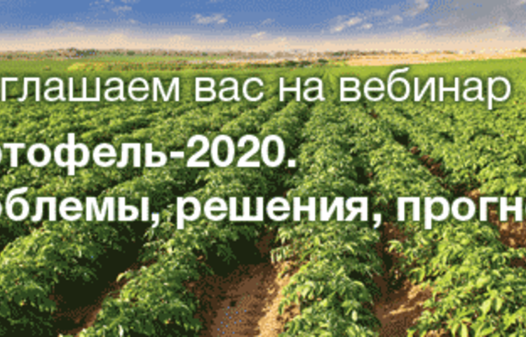 Картофель-2020. Проблемы, решения, прогнозы
