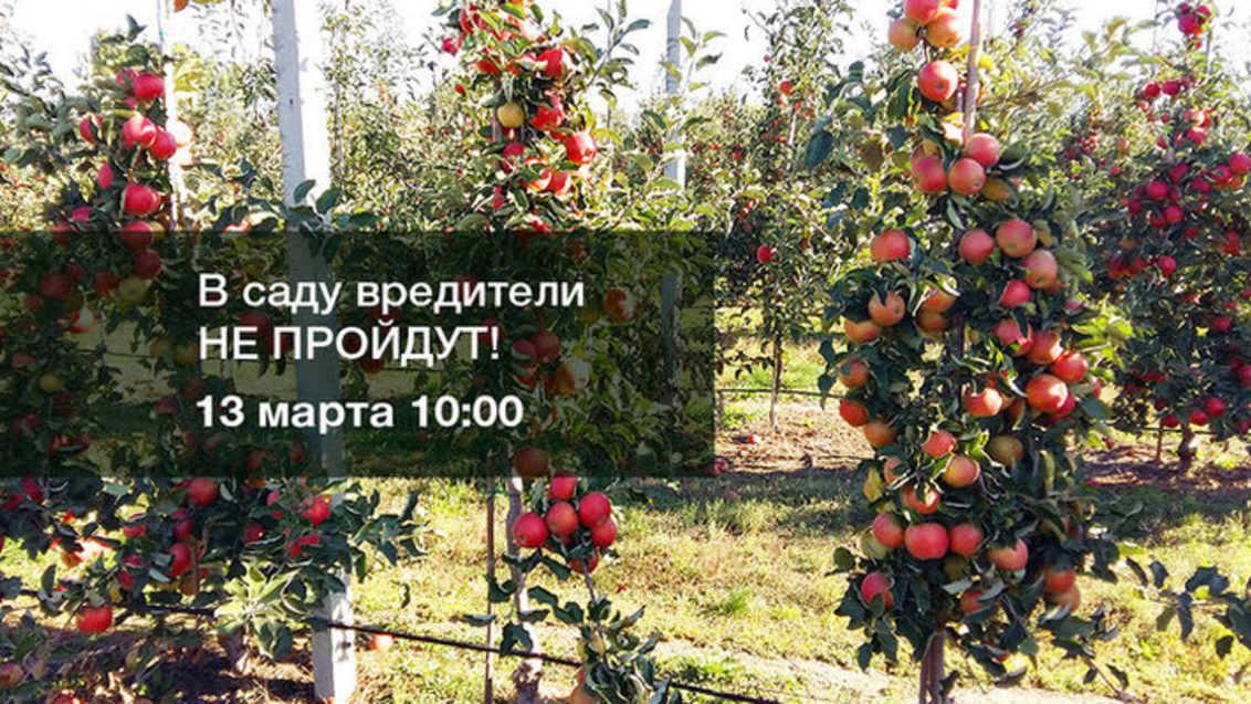 13 марта вебинар «В саду вредители не пройдут!»