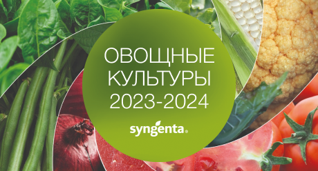 Каталог семян овощных культур 2023-2024