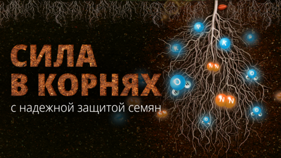 ВАЙБРАНС® Трио: три аргумента за