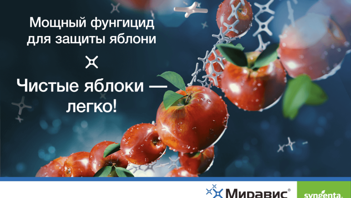 Чистые яблоки — легко!