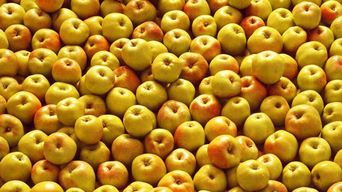 Как предотвратить гнили плодов при хранении?