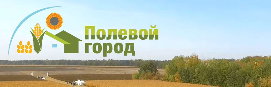 Липецк. Осенние «Полевые города» сезона 2018