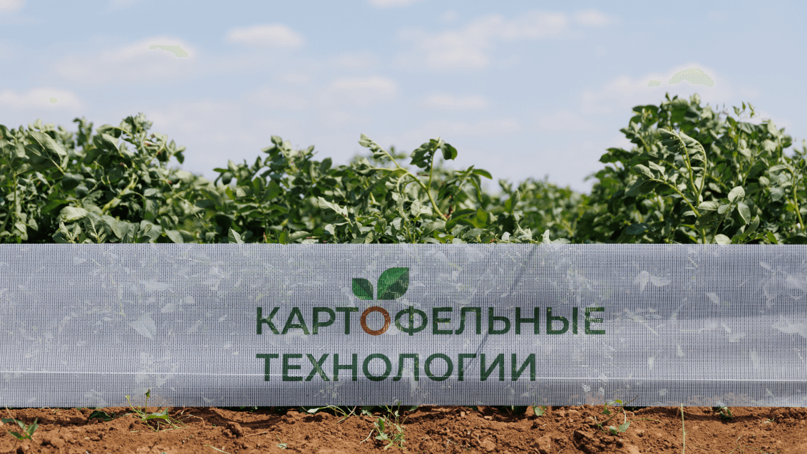 Картофельные технологии: главное событие отрасли