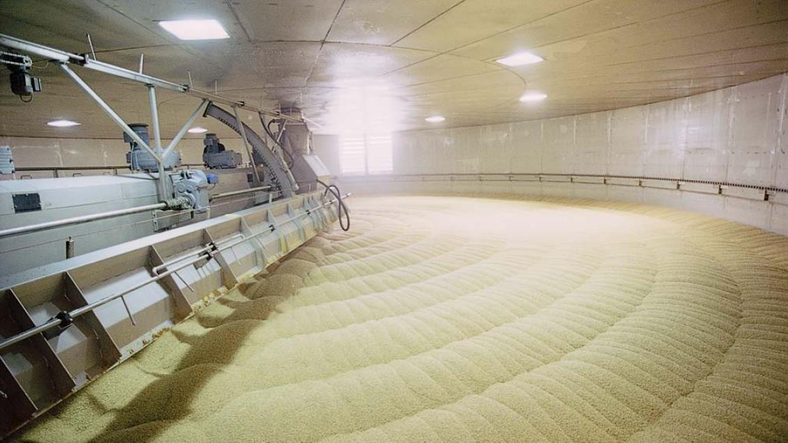 Показатели качества пивоваренного ячменя и факторы на них влияющие, фото