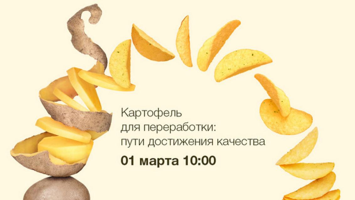 1 марта вебинар «Картофель для переработки: пути достижения качества»