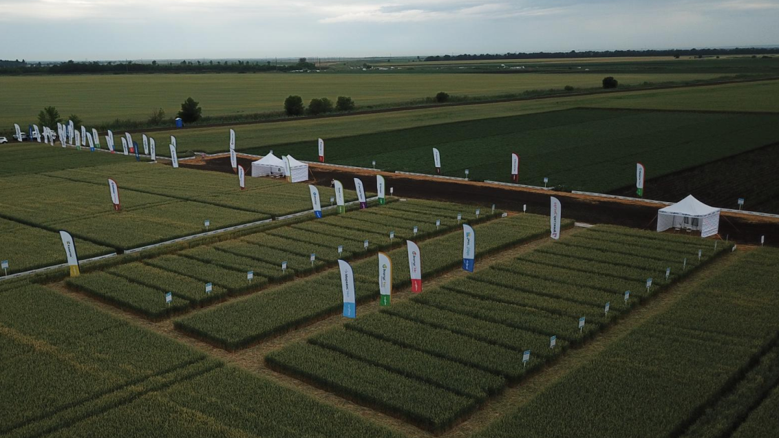 Агроцентр Ростов 2025