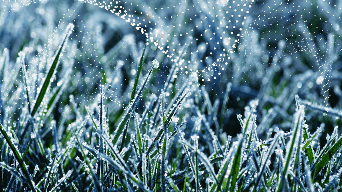 Температурные риски: угроза еще не миновала!