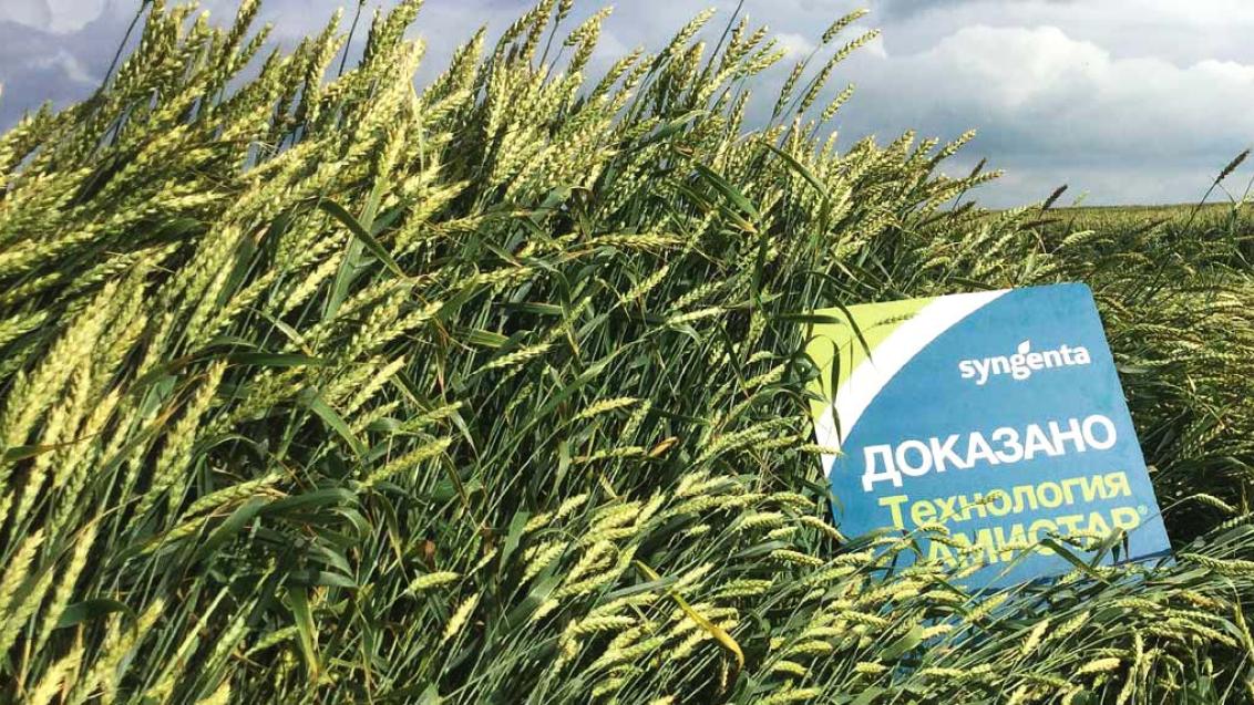 АМИСТАР ЭКСТРА — о чем расскажут 56 производственных испытаний?