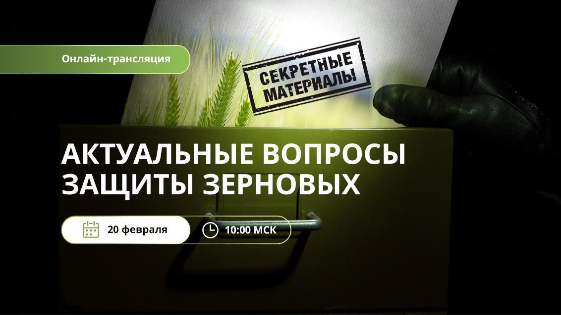 «Секретные материалы: актуальные новости защиты зерновых»