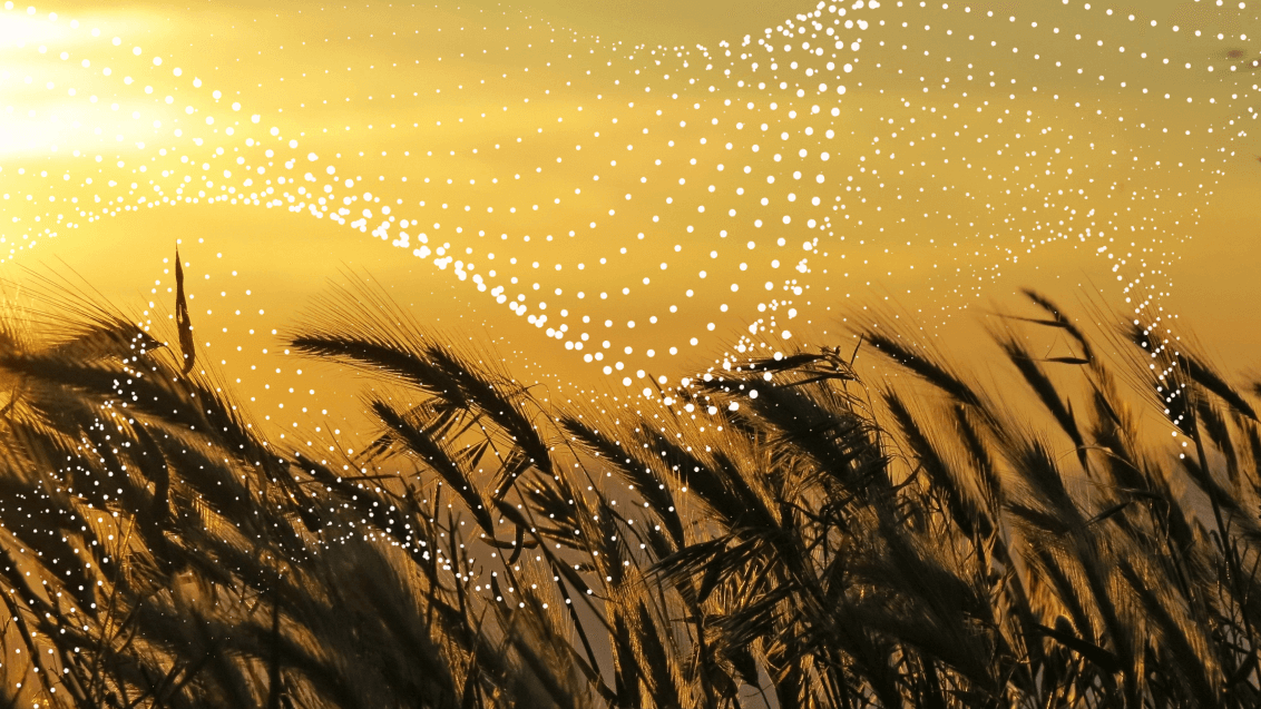 Почему некоторые биостимуляторы не работают?