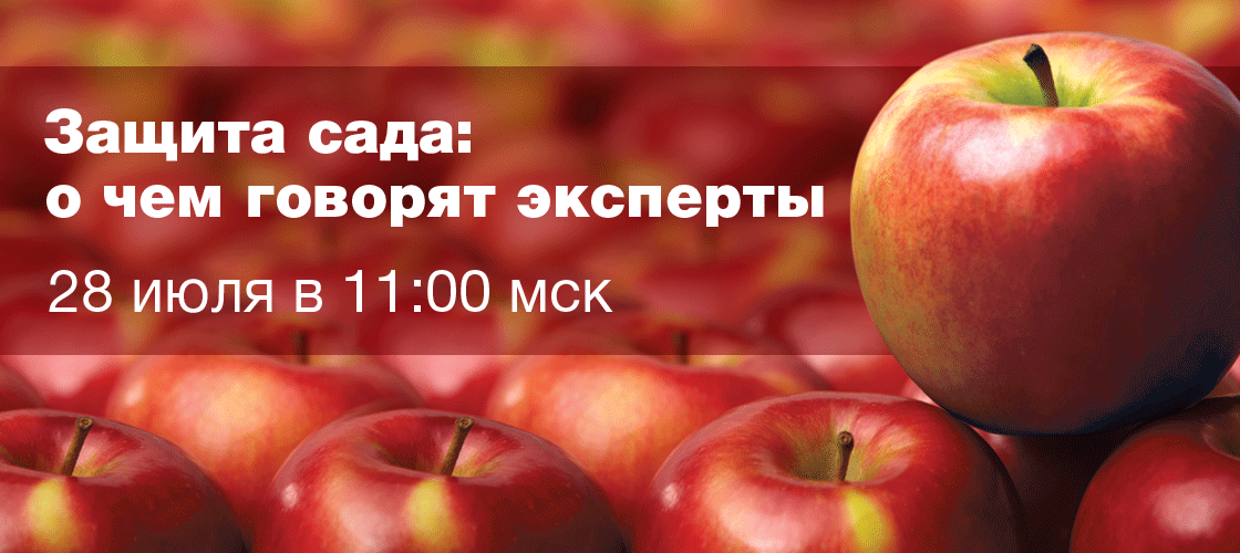 Запись: Защита сада: о чем говорят эксперты?