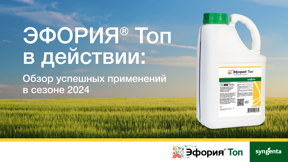 ЭФОРИЯ® Топ: итоги полевого сезона 2024