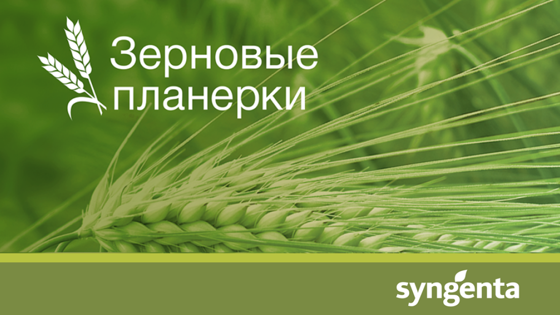 Зерновые планерки: создавая традиции, объединяем регионы!