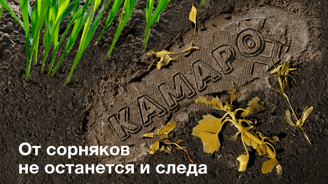 КАМАРО®. От сорняков не останется и следа!