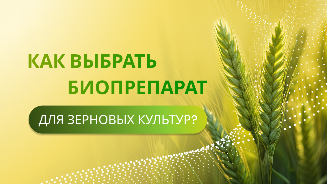 Биопрепараты «Сингенты» — инновации, созданные природой
