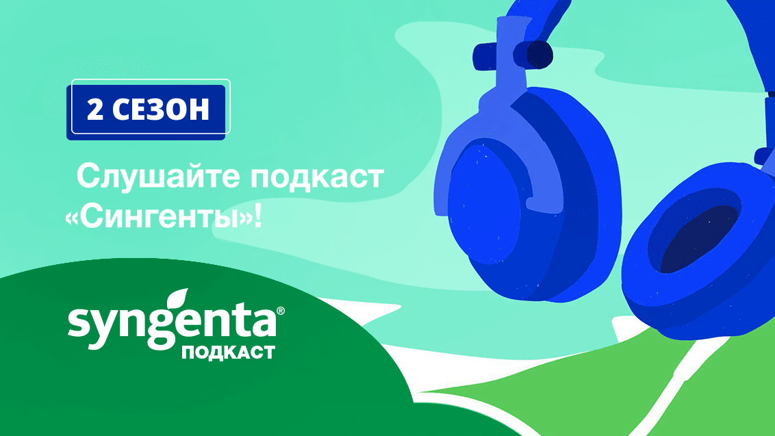Подкаст «Сингенты». Второй сезон