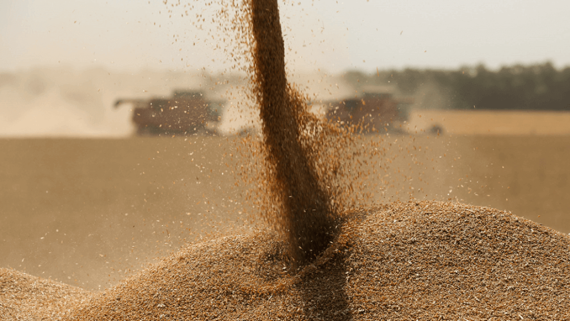 Обзор ситуации на аграрных рынках от 16.05.2019