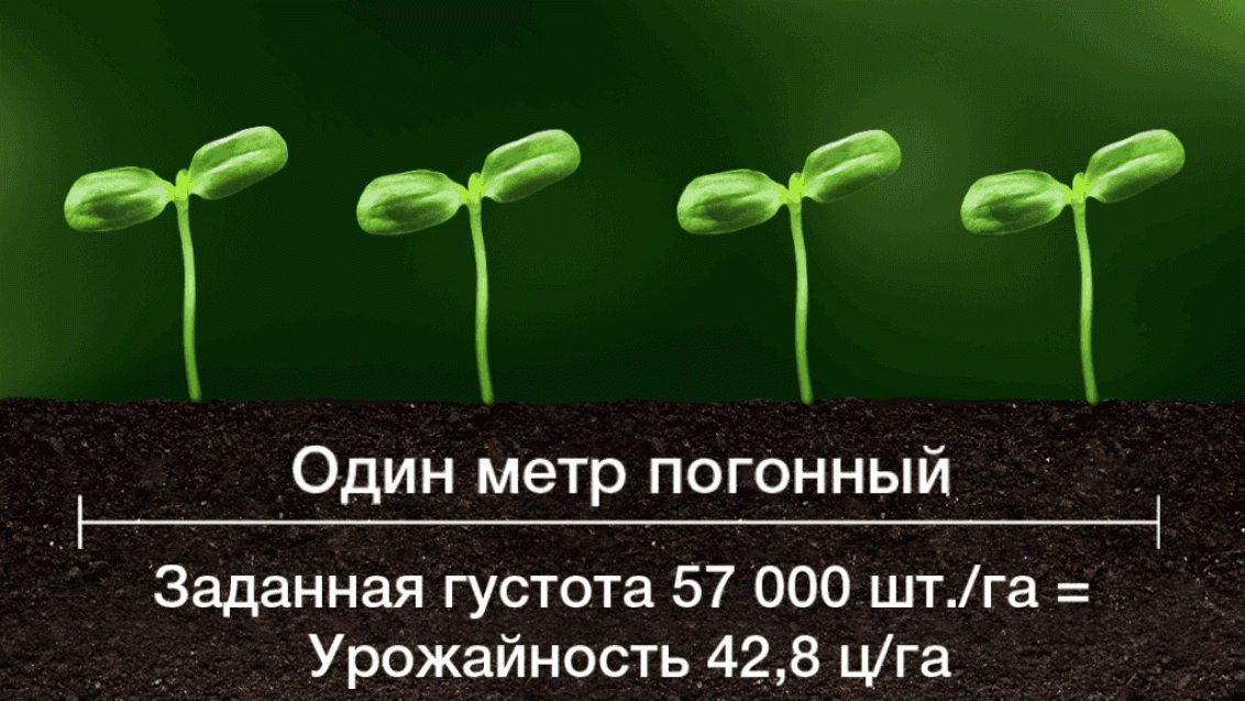 КРУЙЗЕР® ФОРС-Технология