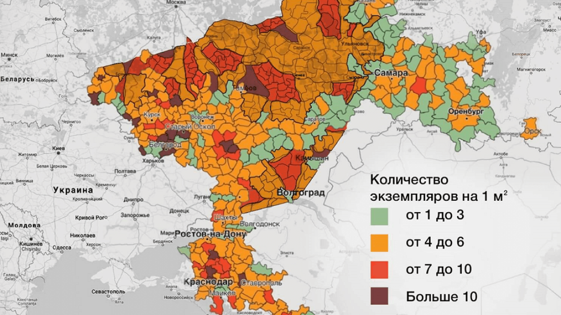 Влияние почвенных вредителей на густоту стояния подсолнечника