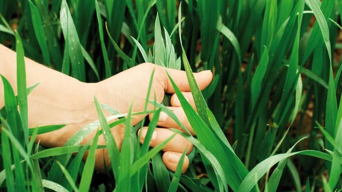 ДИАЛЕН® СУПЕР — отличное решение в современных условиях!