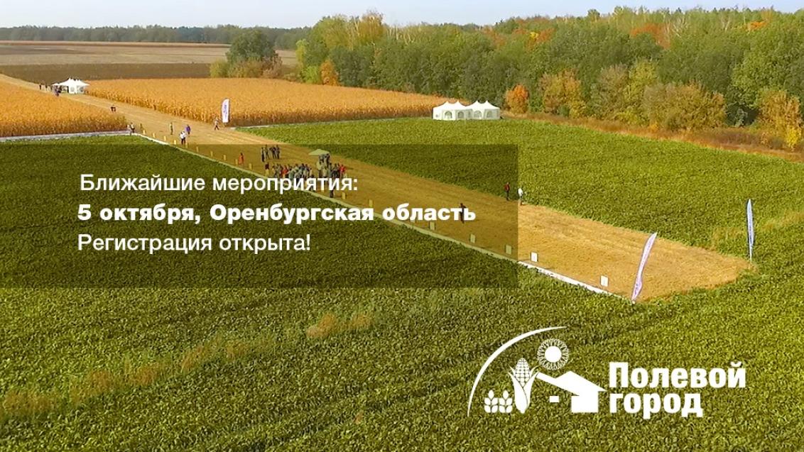 Объявляем праздник урожая на Полевых городах «Сингенты»!