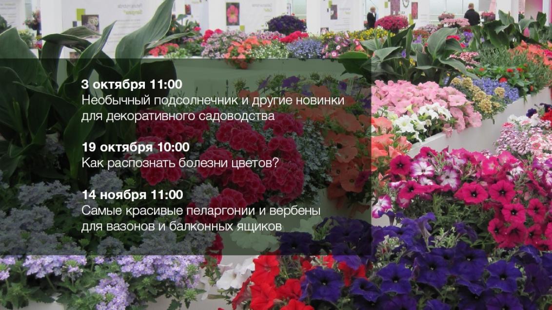 Цветочные вебинары этой осенью!