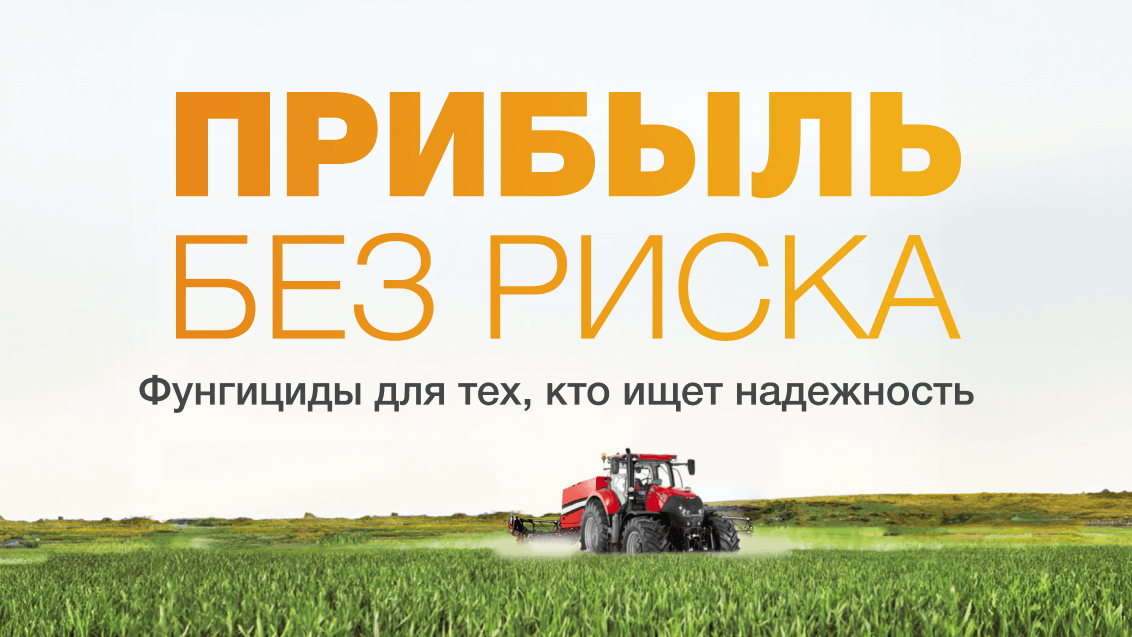 Как правильно выбрать фунгицид для зерновых культур под погодные риски