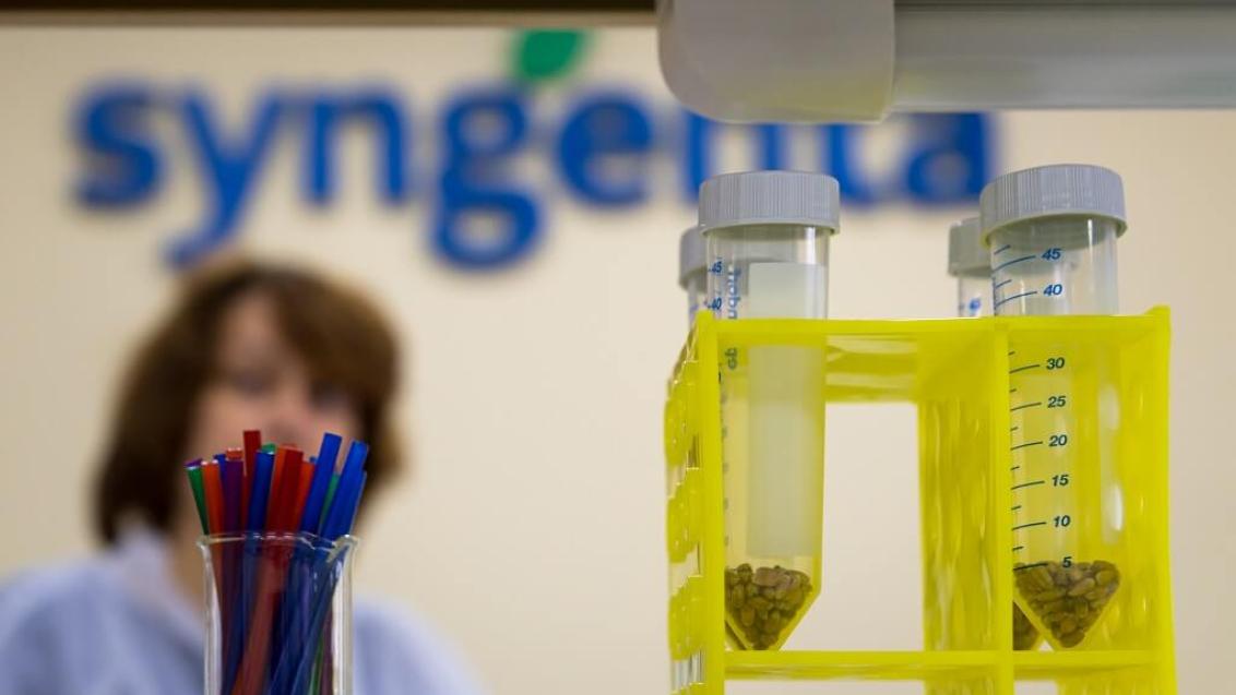 На семенах зерновых находят все больше патогенов