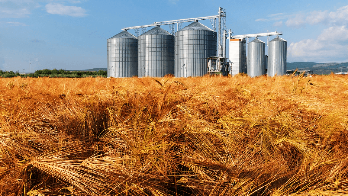 Родентицид КЛЕРАТ® — эффективное средство для сдерживания грызунов