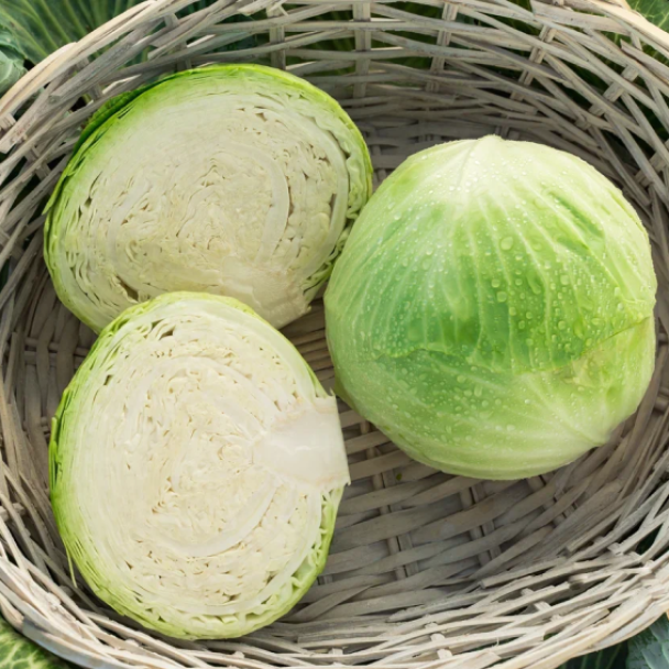 Профессор F1