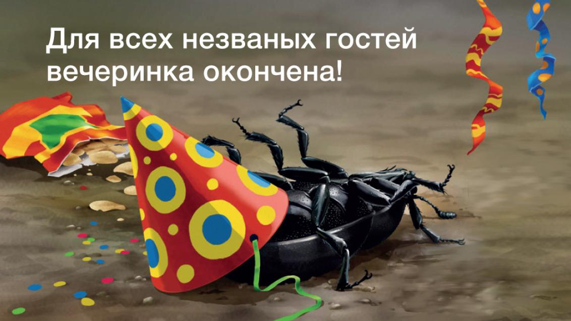 КАРАТЭ ЗЕОН и ЭФОРИЯ — спасения насекомым нет!