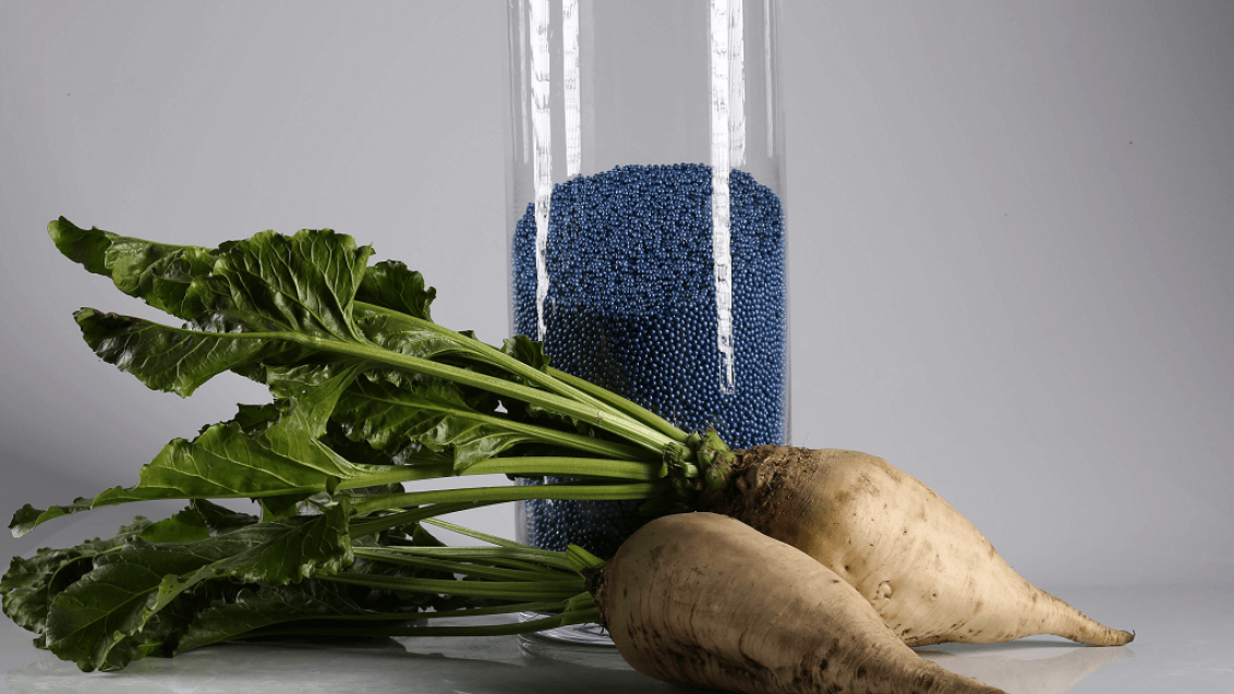 Оборот семян сахарной свеклы в обработке КРУЙЗЕР® разрешен